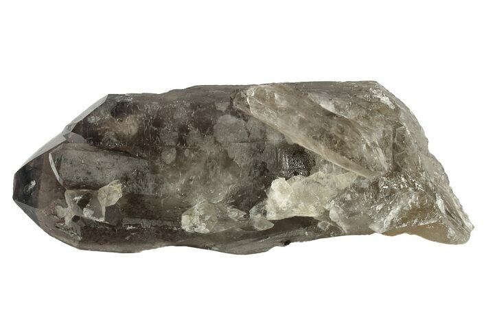 Dark Smoky Quartz Crystal - Brazil #234084